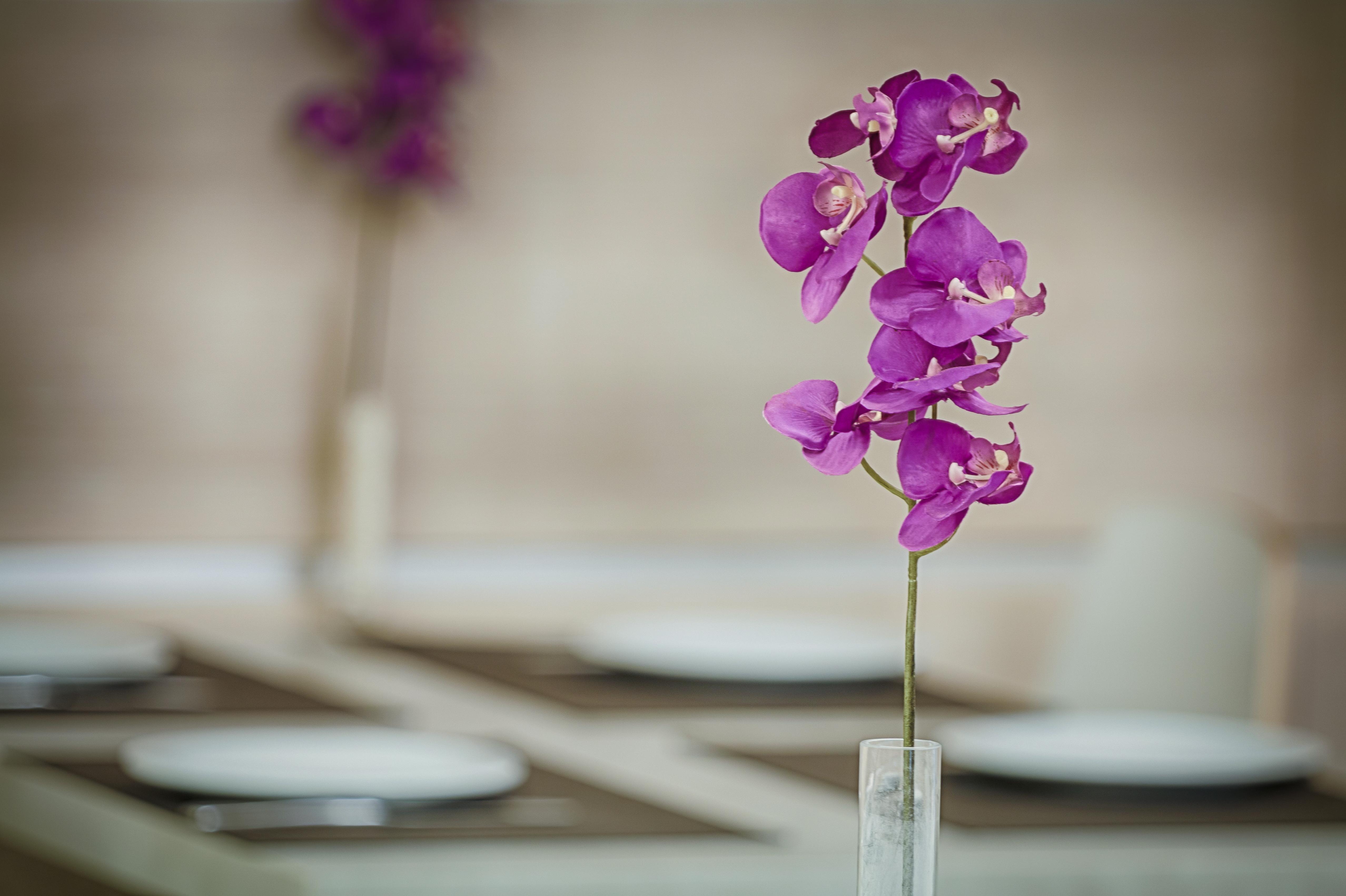 Hotel Raganelli Roma Ngoại thất bức ảnh